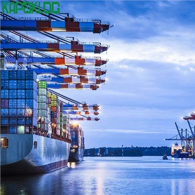 Transportista de carga rápida DDP en China